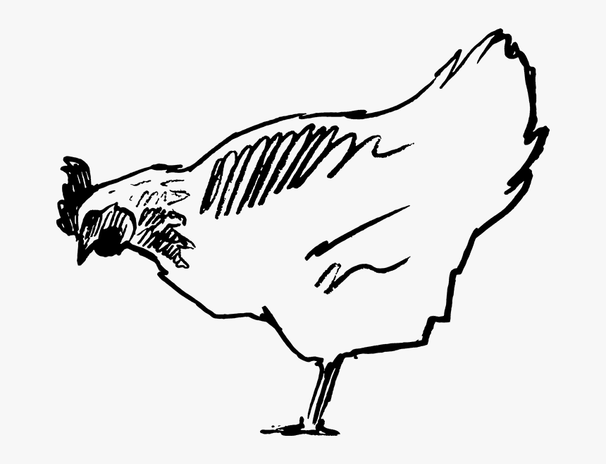 Transparent Chicken Clipart Black And White - Chickhen Clip Art Black And White, HD Png Download