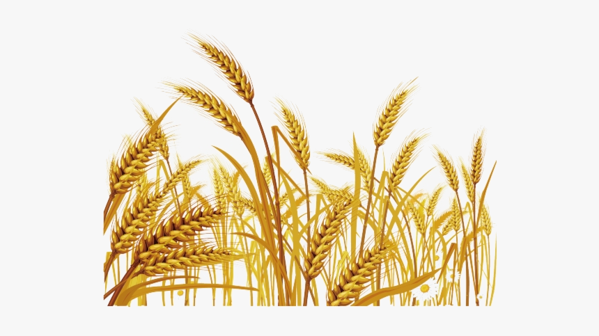 Wheat Malt Clipart Grass Free Transparent Png - New Jerusalem Heavenly Mother, Png Download