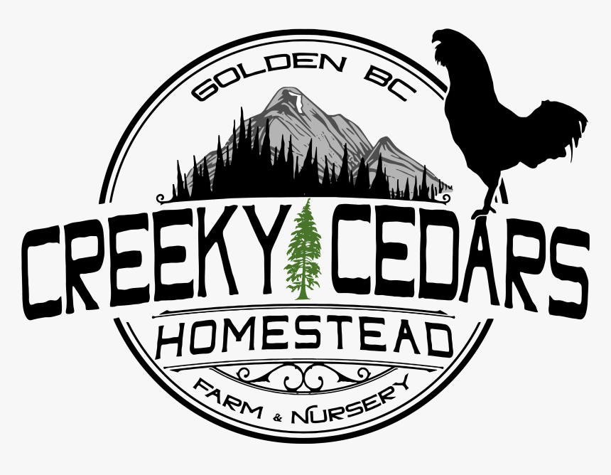 Rooster, HD Png Download