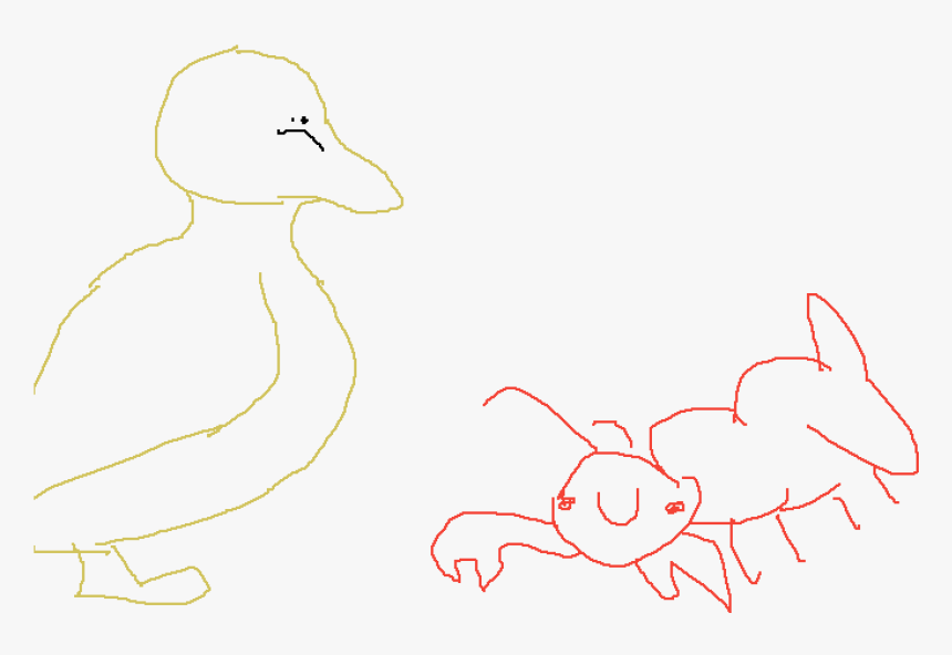 Duck, HD Png Download