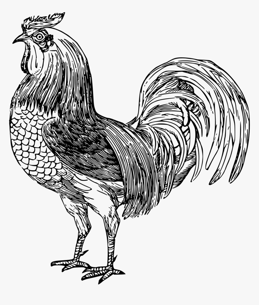 Big Penis Valentine Cards, HD Png Download