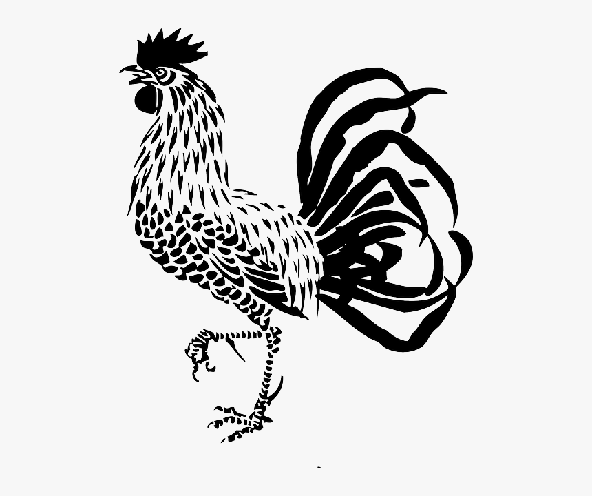 Rooster, Cock, Poultry, Farm, Cockerel, Domestic - Rooster Clipart Black And White Free, HD Png Download