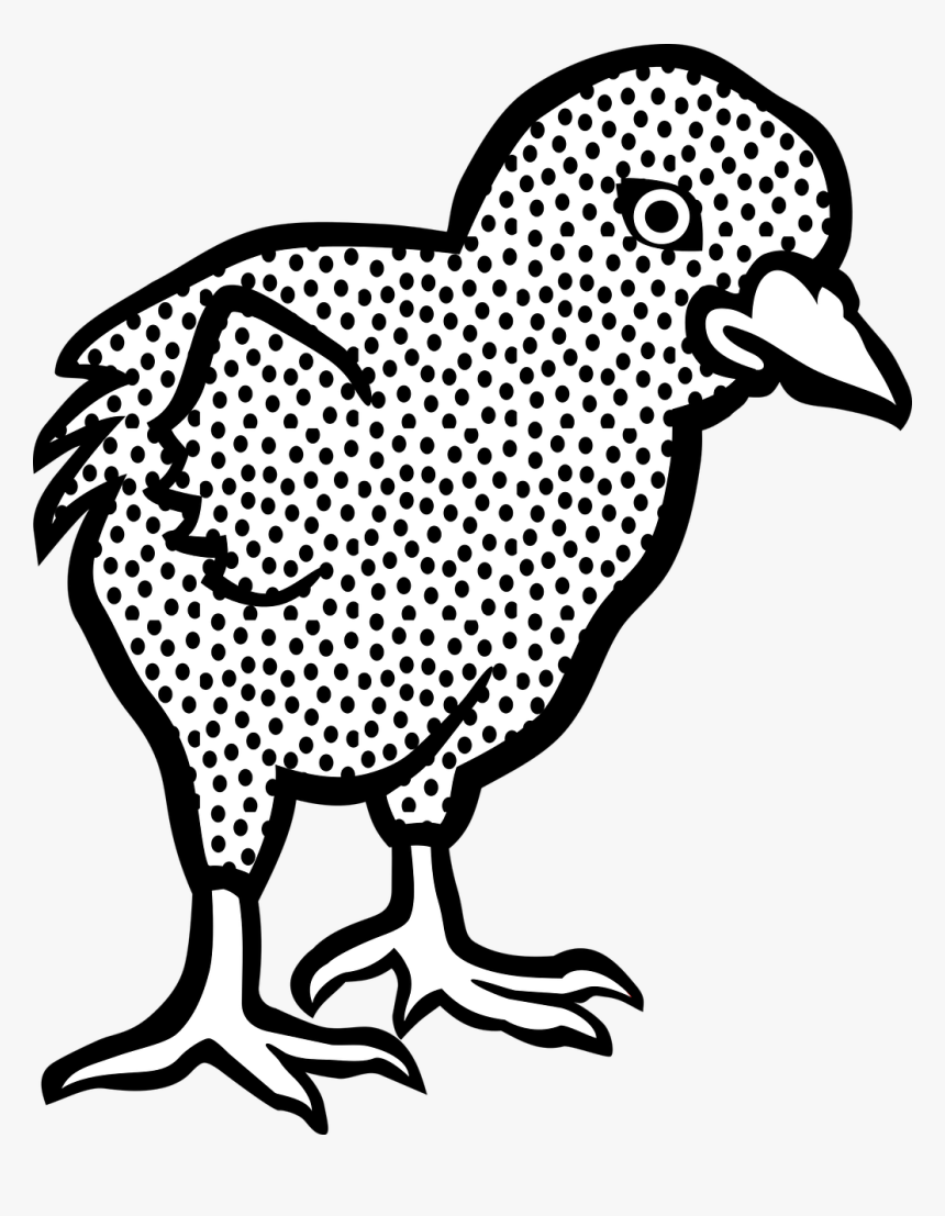Rhode Island Red Drawings, HD Png Download