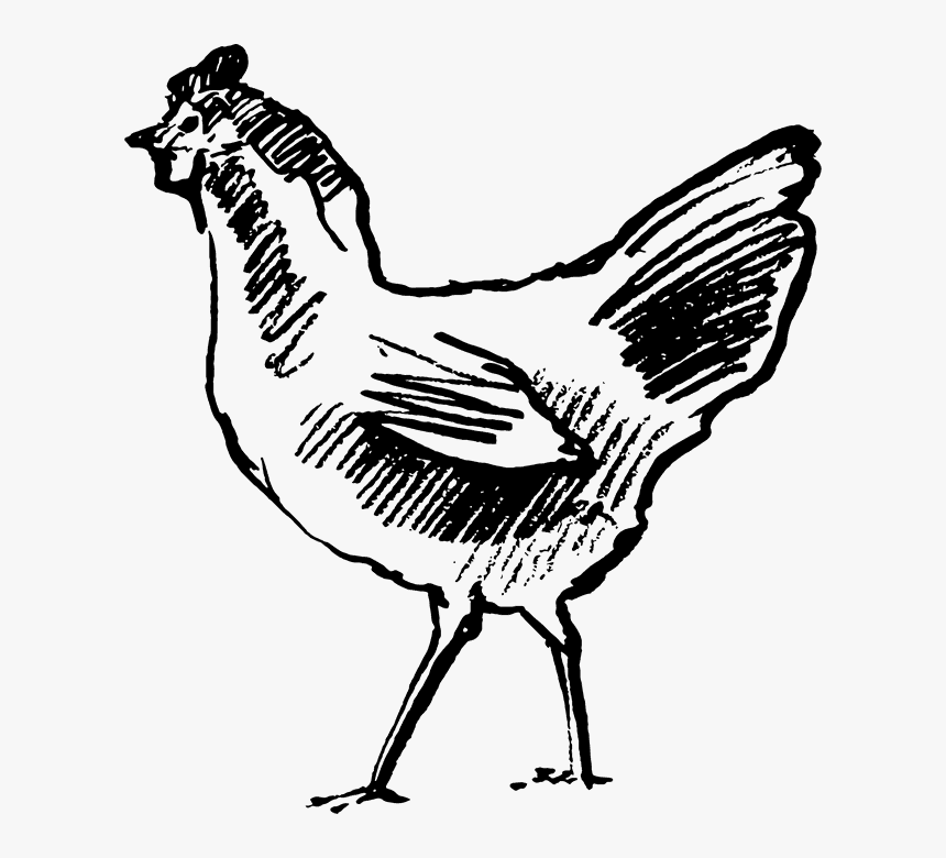 Turkey, HD Png Download