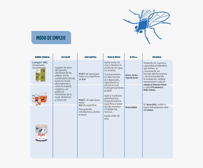 Insect, HD Png Download