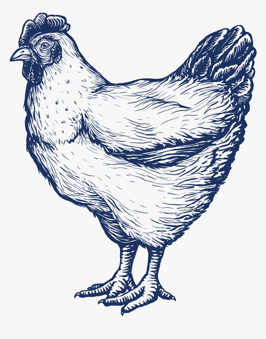 Rooster, HD Png Download