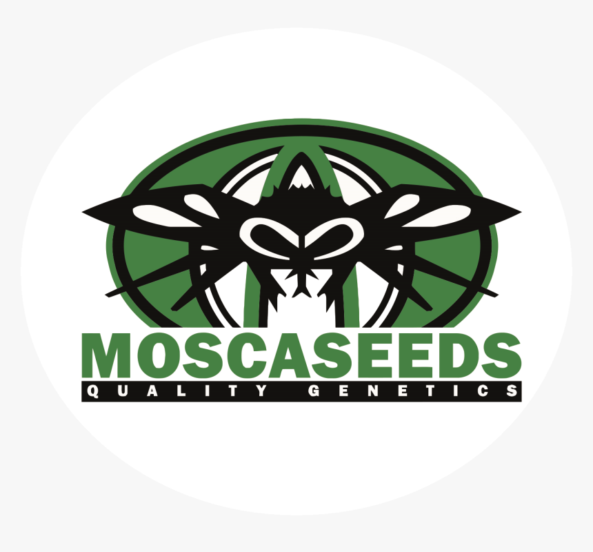 Mosca Seeds - Mosca Seeds Logo, HD Png Download