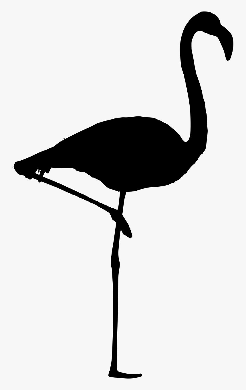 Silhouette, Flamingo Vector, Flamingo, Birds, Tropical - Silueta De Un Flamenco, HD Png Download