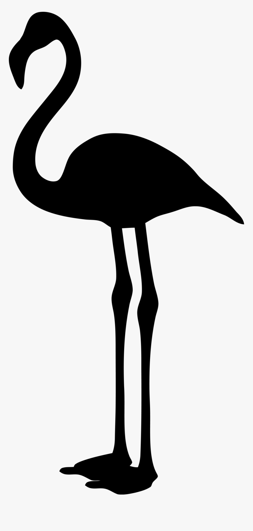 Clip Art Flamingo Transparent Background, HD Png Download