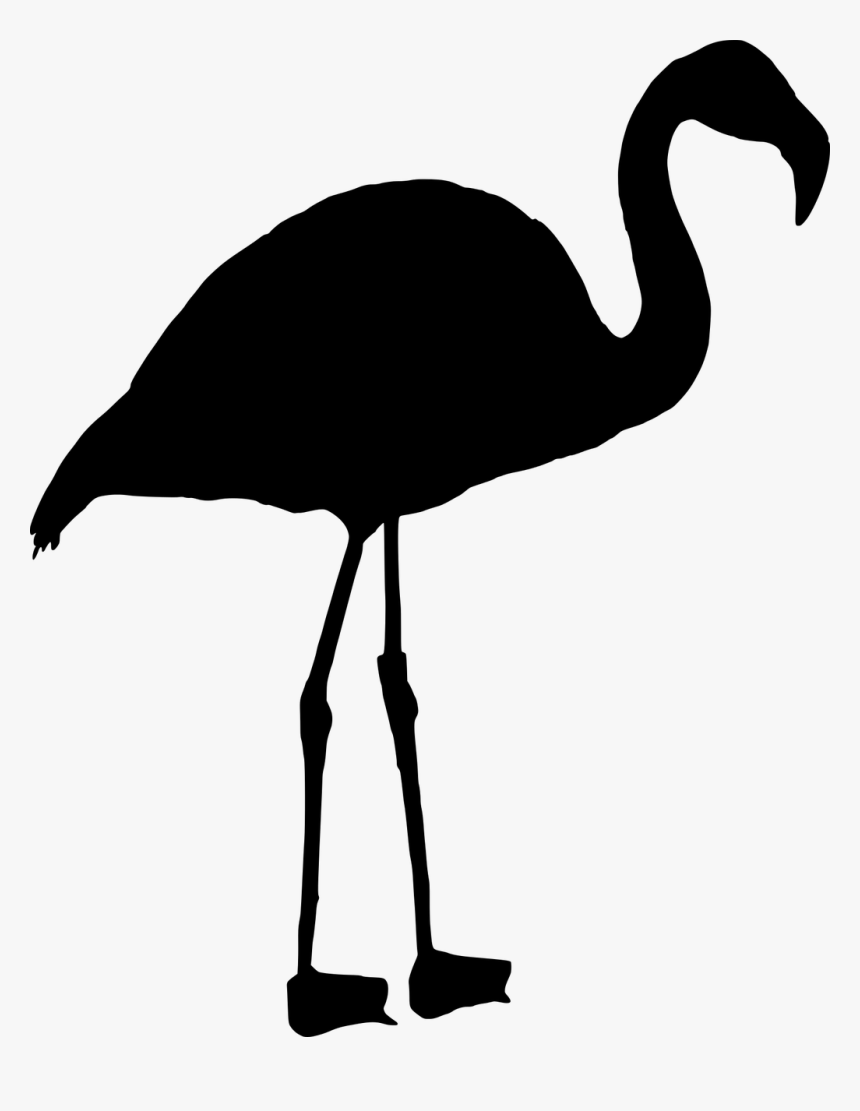 Transparent Flamenco Clipart - Flamenco Negro Png, Png Download