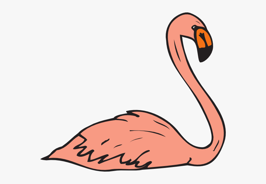 Flamingo Clipart, HD Png Download