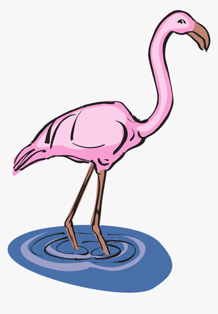 Flamingo Water Bird Free Picture - Pink Flamingos In Water Clipart, HD Png Download