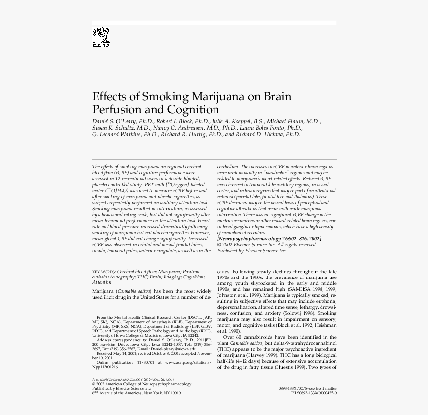 Smoking Blunt Png, Transparent Png