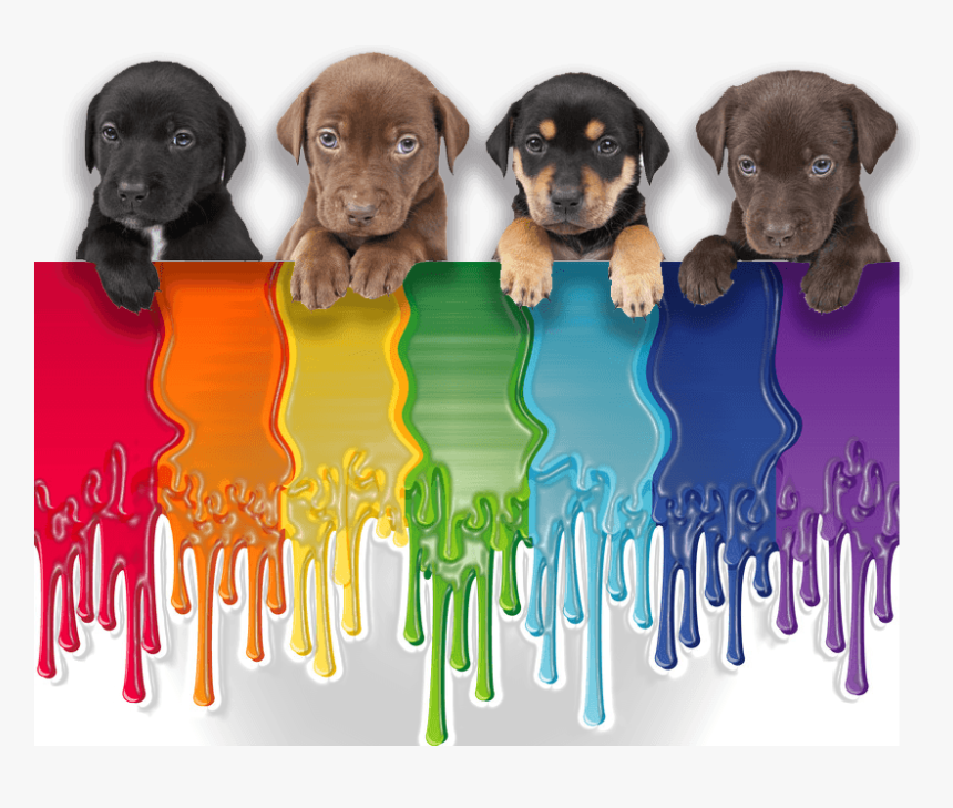 All Puppies And Rainbows That Remains To Be Seen, HD Png Download