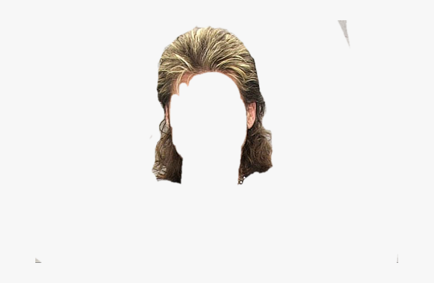 Transparent Mullet Clipart, HD Png Download , Transparent Png Image ...