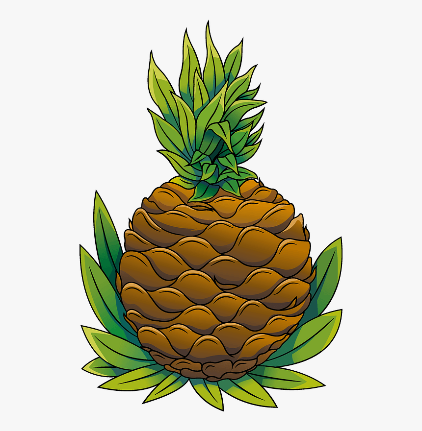Pineapple Clipart, HD Png Download , Transparent Png Image - PNGitem
