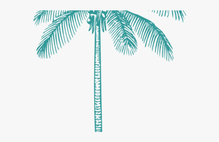 Palm Tree Emoji Png, Transparent Png , Transparent Png Image PNGitem