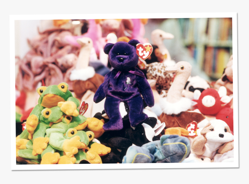 Limited Edition Beanie Baby That Was Given, HD Png Download