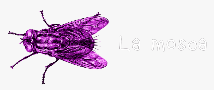 Mosca, HD Png Download