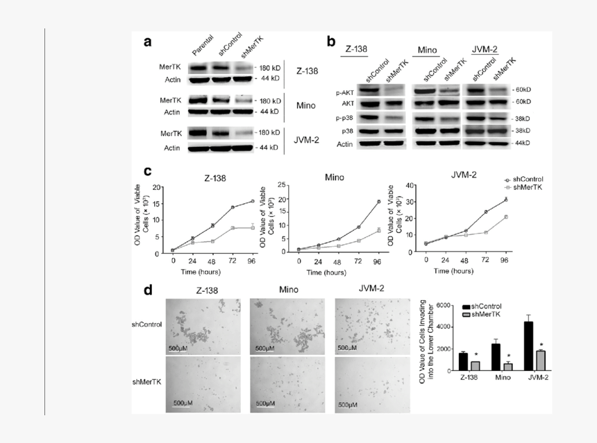 Diagram, HD Png Download