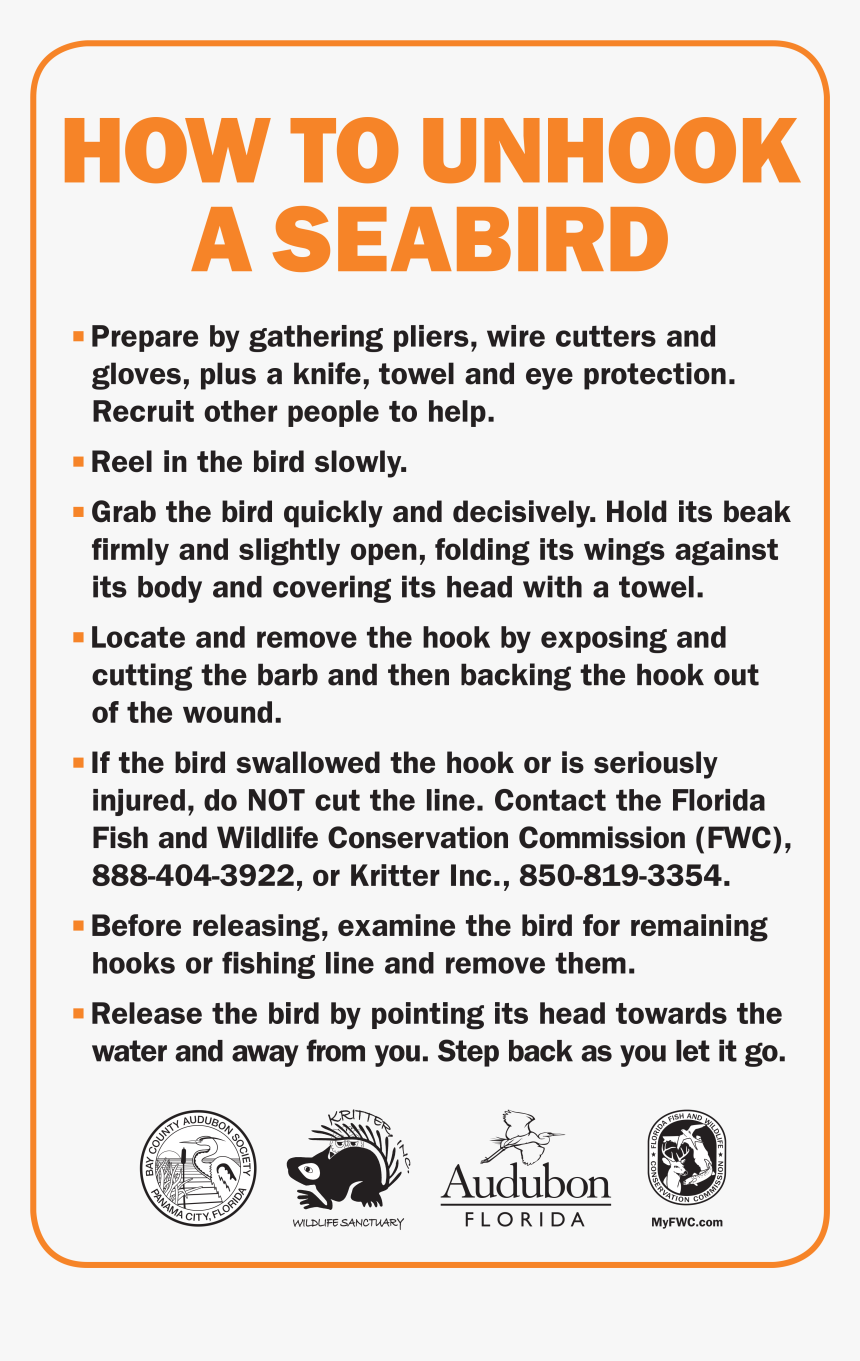 + Sign Png, Transparent Png