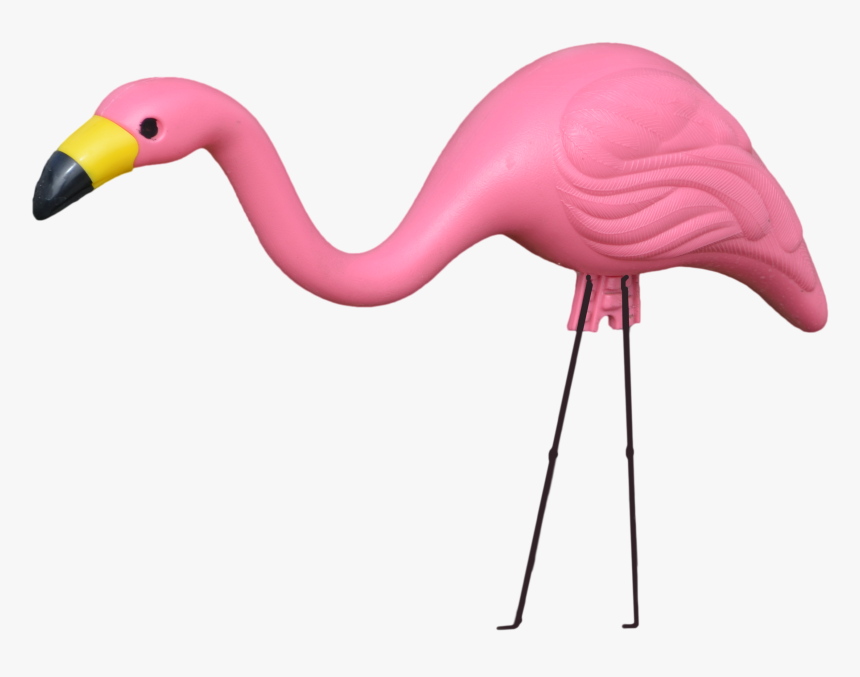 Flamingo,greater Flamingo,bird,pink,water Bird,beak,neck,animal - Transparent Plastic Flamingo Png, Png Download