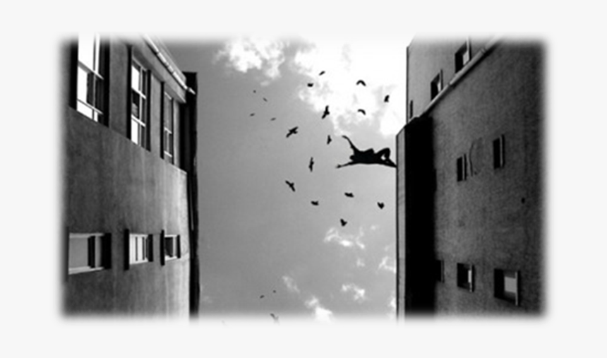 Funeral Band Of Horses Letra Español, HD Png Download