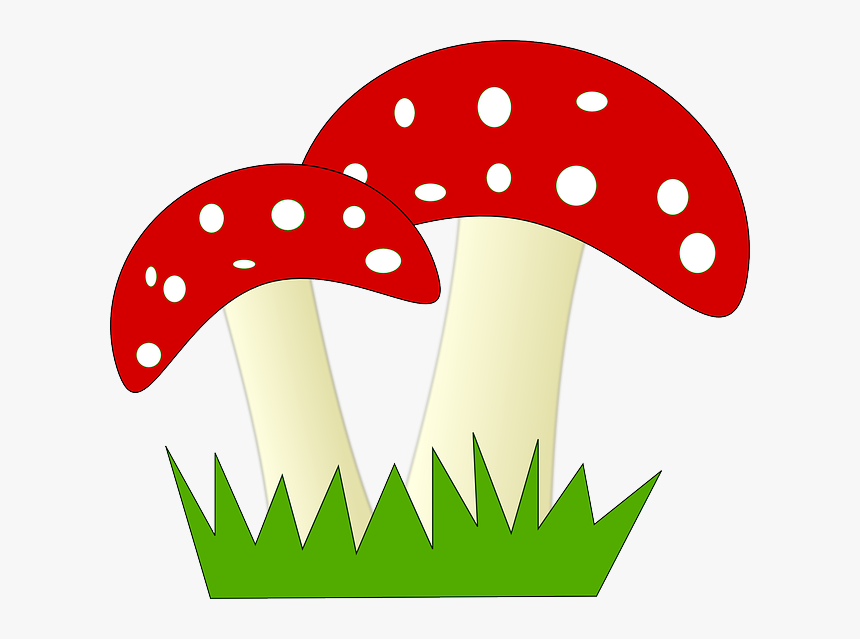 Imagem Gratis No Pixabay - Mushroom Cliparts, HD Png Download