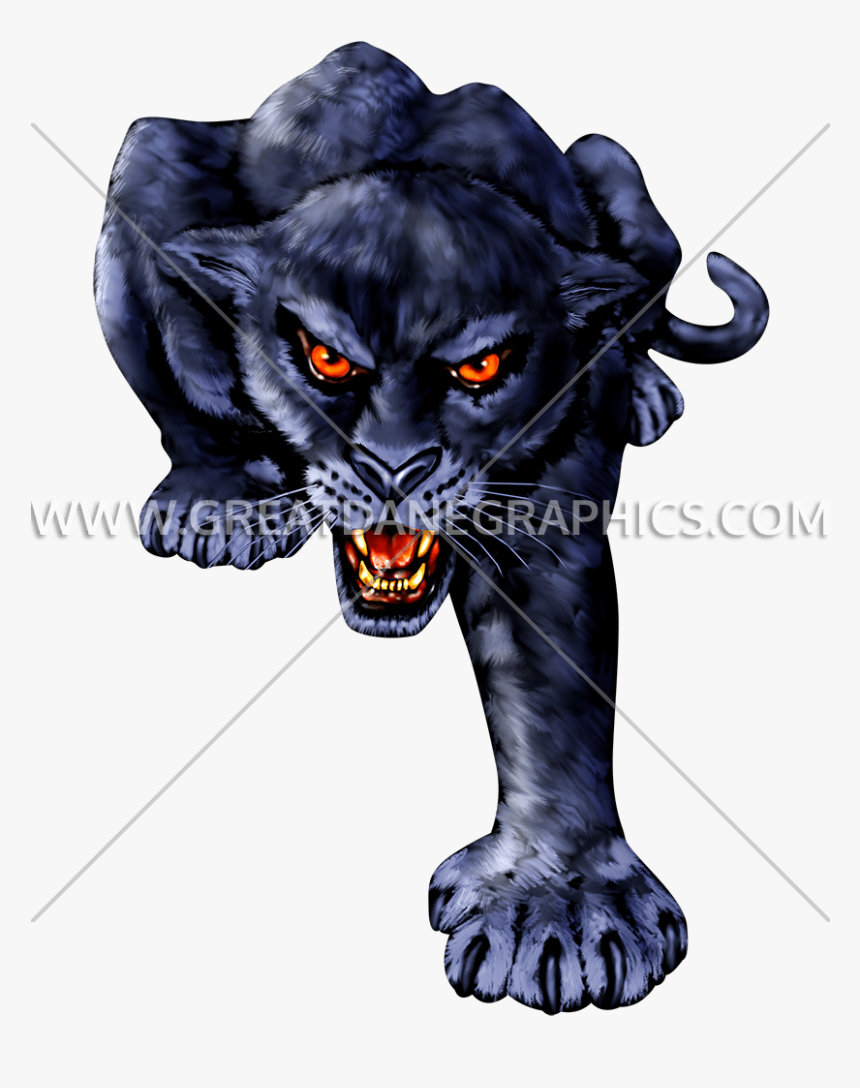 Lion, HD Png Download