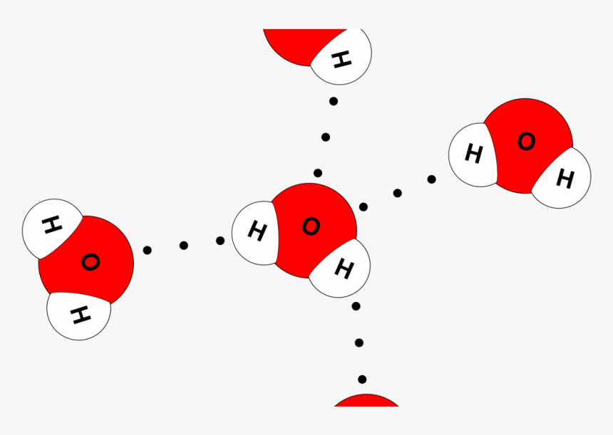 Water Molecule 4 Hydrogen Bonds , Png Download - Water Molecule 4 Hydrogen Bonds, Transparent Png