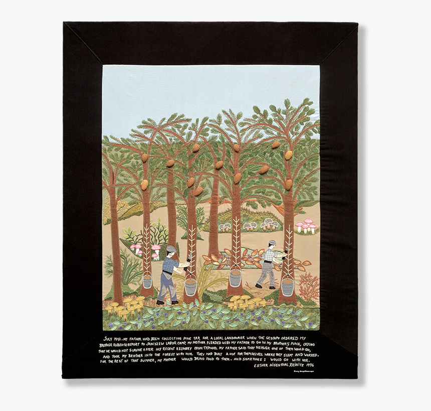 Picture Frame, HD Png Download