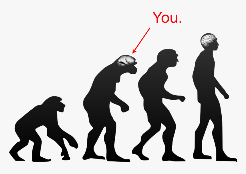 Statistically Significant Insults For The Soul - Evolution Of Humans, HD Png Download