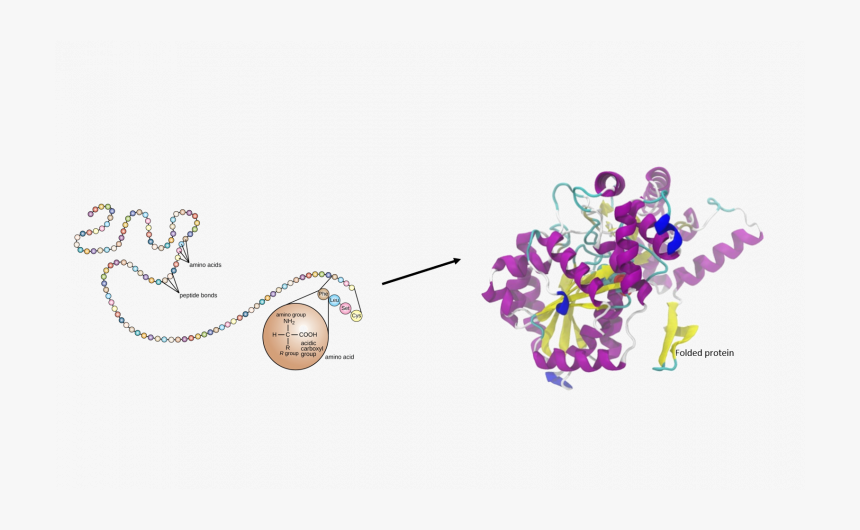 Illustration, HD Png Download