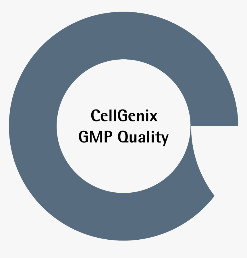 Circle, HD Png Download