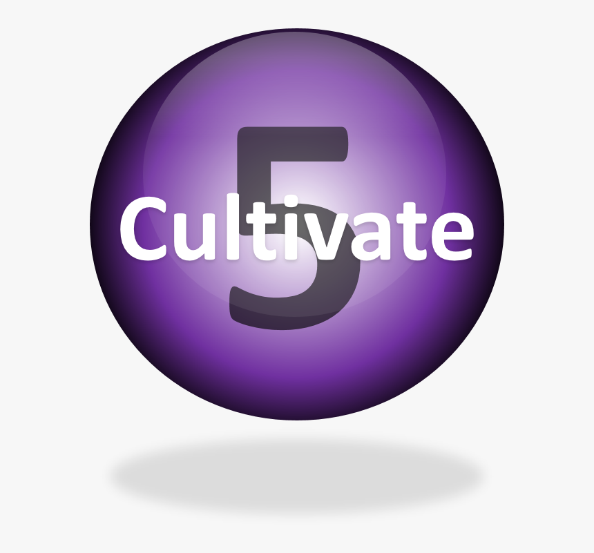 Social Media Marketing, HD Png Download