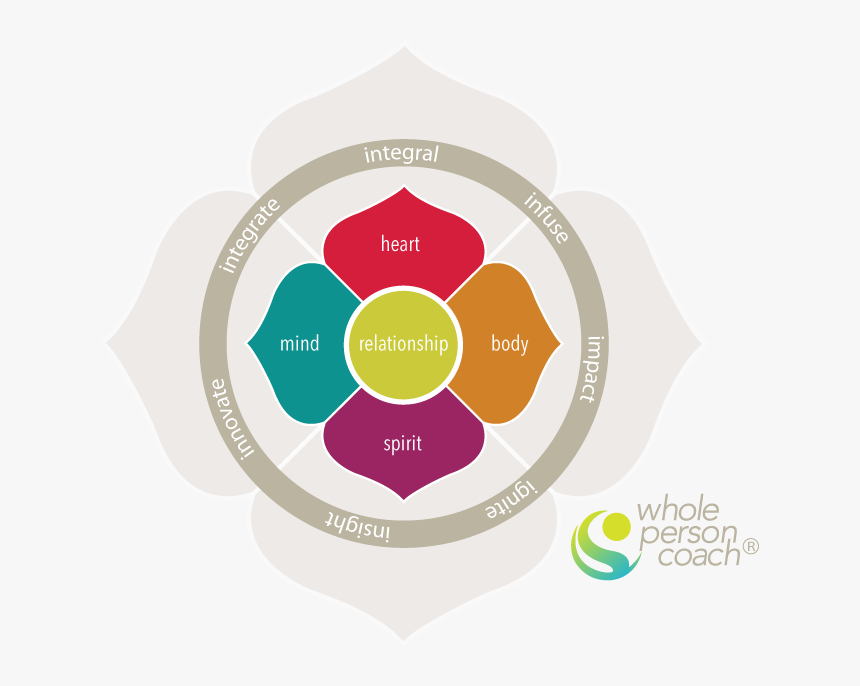 Whole Person Coaching Model - Free Clip Art Holistic, HD Png Download