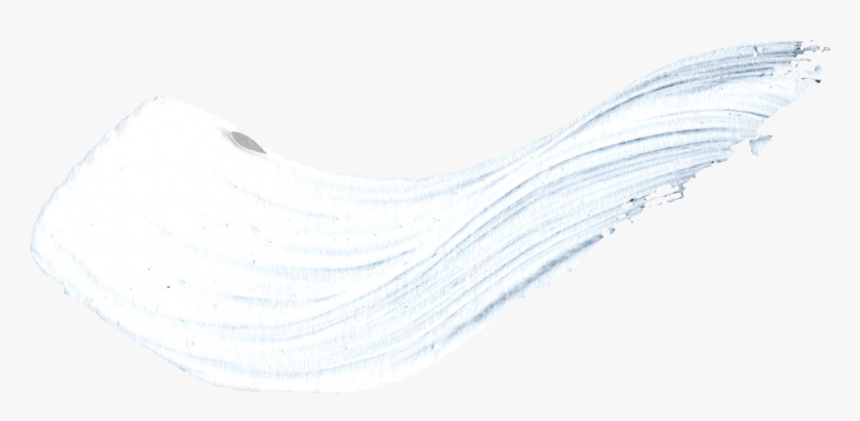 Eel, HD Png Download