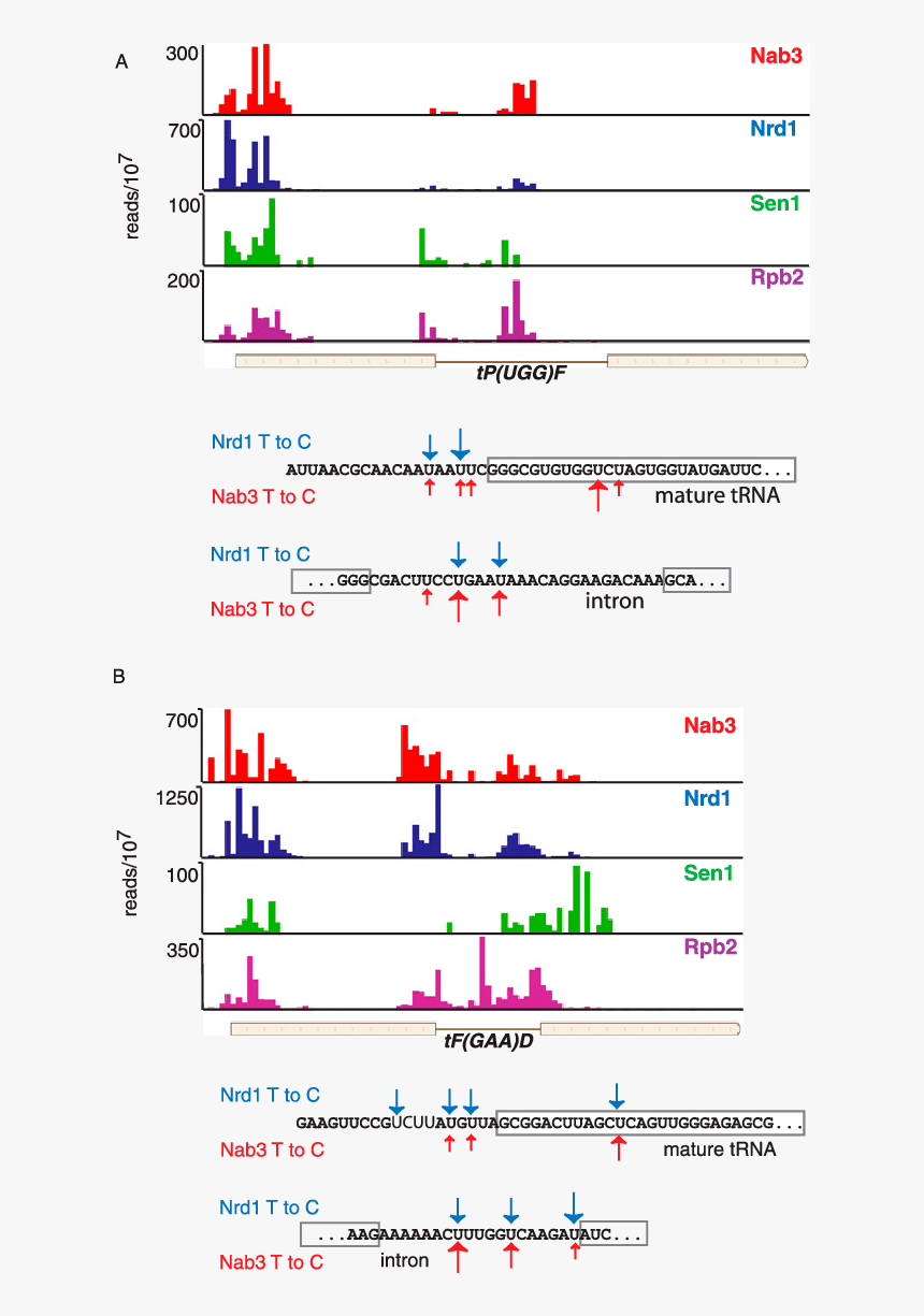 Screenshot, HD Png Download