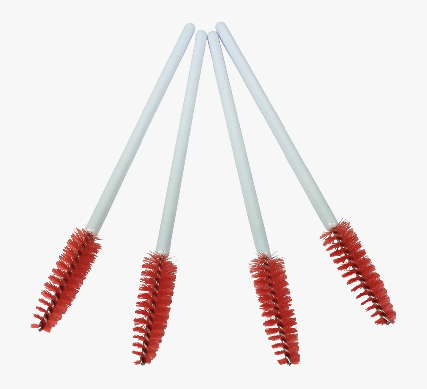 Brush, HD Png Download