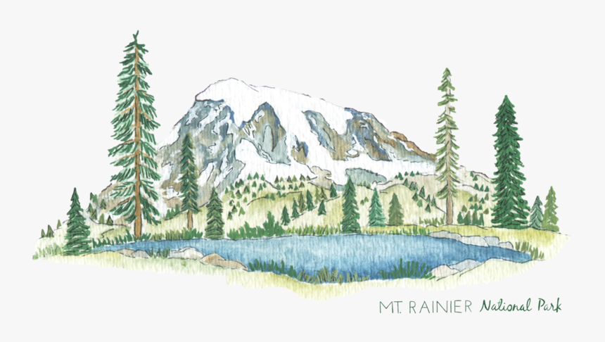 Mtranier-website - Colorado Spruce, HD Png Download