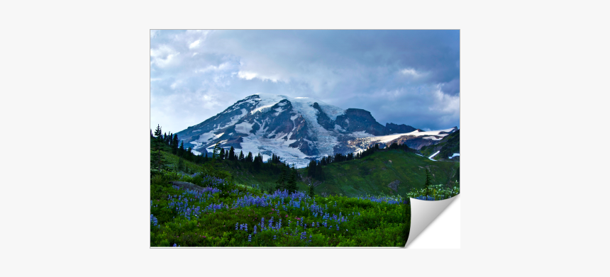 Summer At Mount Rainier - Mount Rainier National Park, Nisqually Glacier, HD Png Download