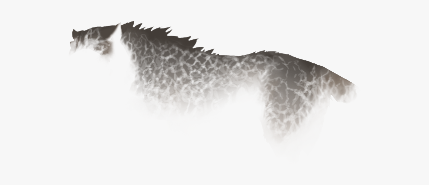 Mane, HD Png Download