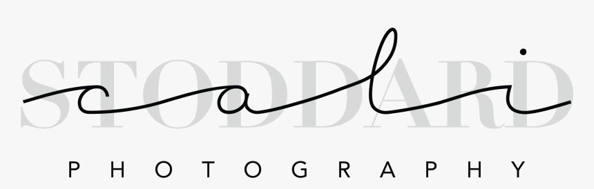 Transparent Blank Transparent Png, Png Download