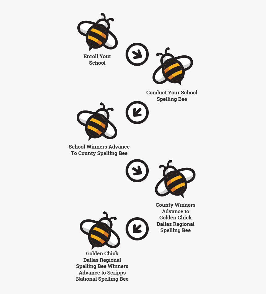 Bumblebee, HD Png Download