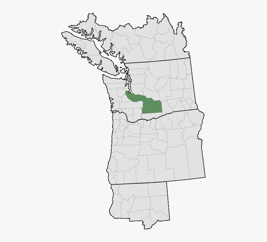 Tweedy's Lewisia, HD Png Download