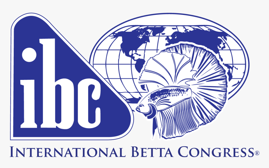 International Betta Congress, HD Png Download