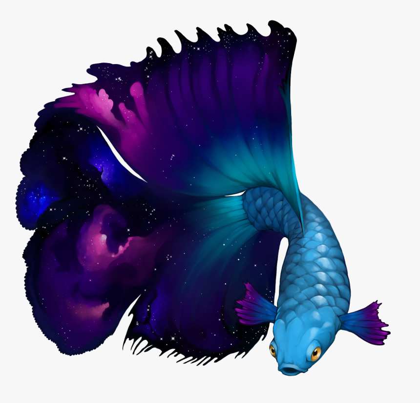 Betta Nebula Clipart , Png Download - Illustration, Transparent Png