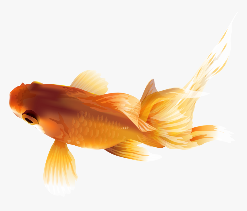 Goldfish Png Transparent Clip Art Image, Png Download