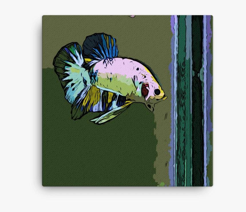 Bass, HD Png Download