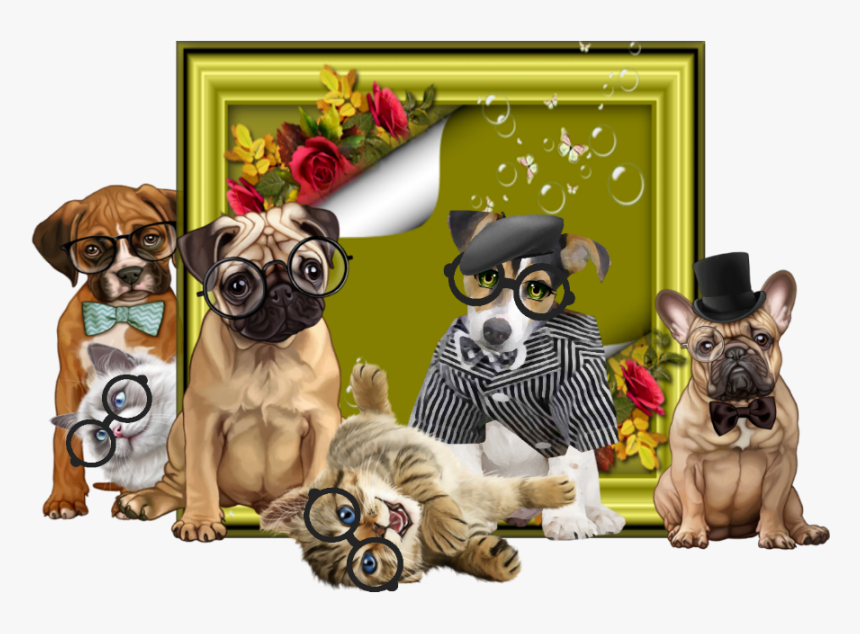 Pug, HD Png Download